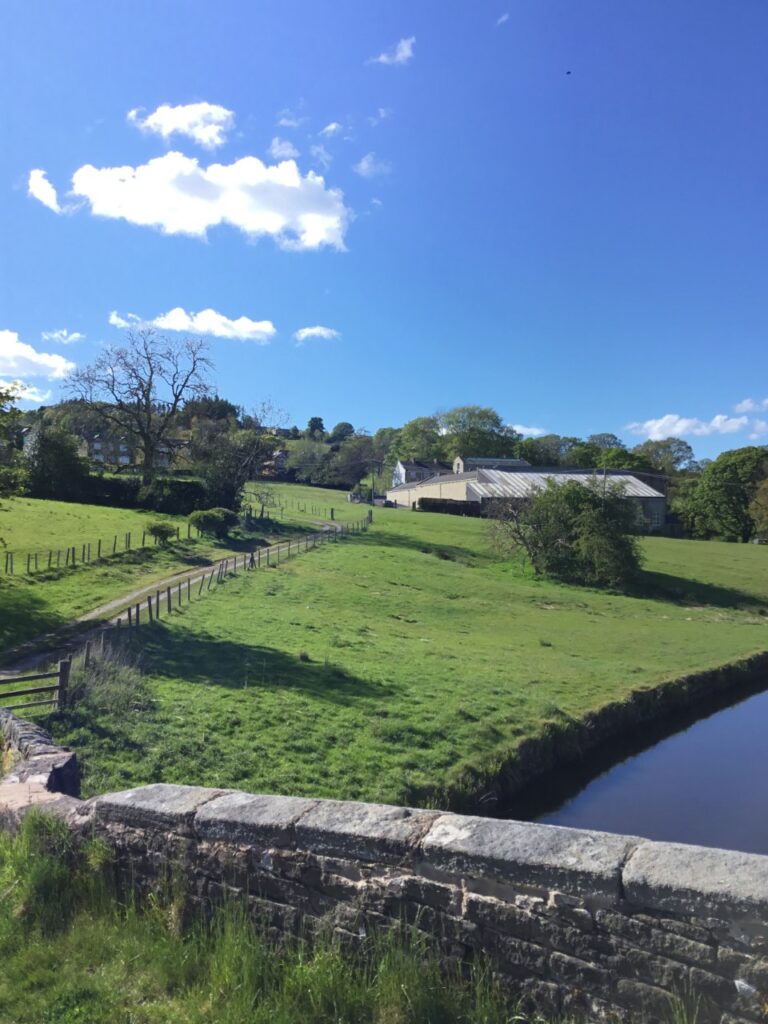 County Brook Mill